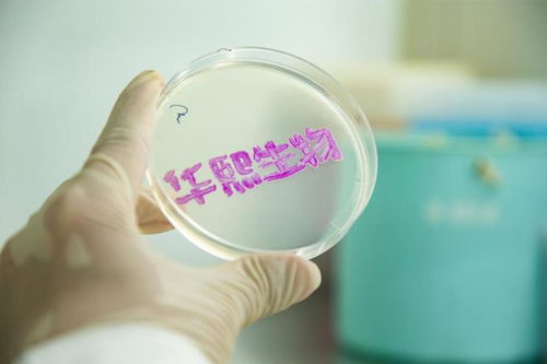 華熙生物2023年報 研發投入4.46億,以科技創新打造新質生產力