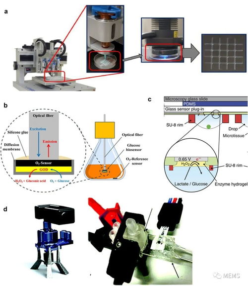 用于細(xì)胞培養(yǎng)監(jiān)測(cè)的傳感器研究進(jìn)展