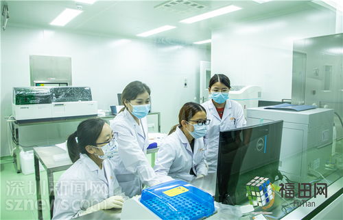 河套引擎激活澎湃動(dòng)力,四面著力譜寫深港新篇