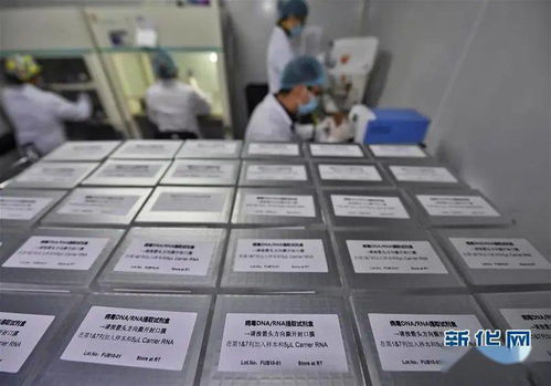 只有源頭創新，才能突破醫療器械領域“掐脖子”問題——專訪生物醫學工程專家樊瑜波